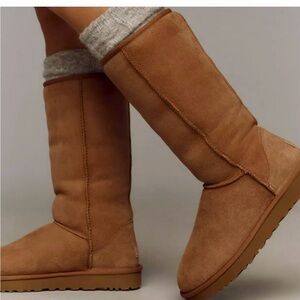 UGG Women's Chestnut Classic Tall Boots